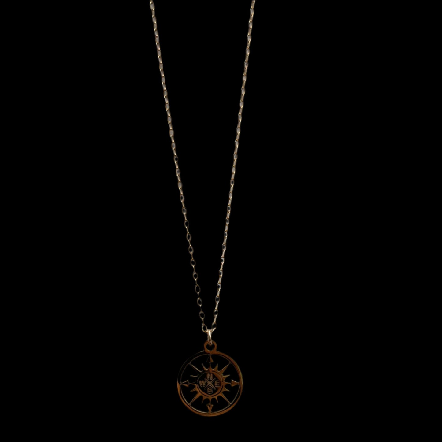 Veronica's Compass Necklace